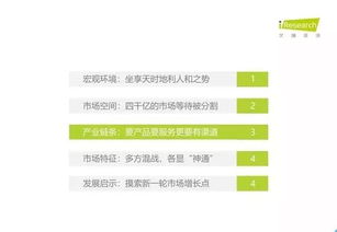 2019年中国教育信息化行业报告 信息技术咨询服务的现状与发展