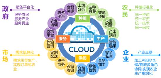 融合创新，智慧赋能 远光移动互联如何以信息技术咨询服务驱动“互联网+农业”落地