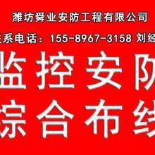 深耕果业沃土，科技引领未来——记荣成市果树技术推广站马道分站的实践与探索